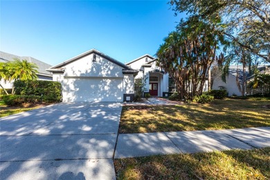Lake Home For Sale in Riverview, Florida