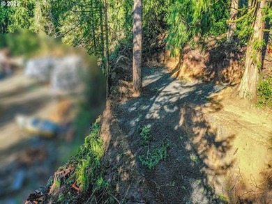 Come see this improved lot ready for your imagination. Park all - photo 11