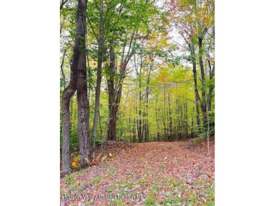 Tunis Lake Acreage For Sale in Bovina New York