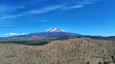 Lake Shastina Acreage For Sale in Weed California