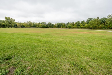 This exceptional parcel is positioned in the heart of Watervliet - photo 4