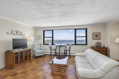 ''Million Dollar Views'' from this penthouse condominium at the