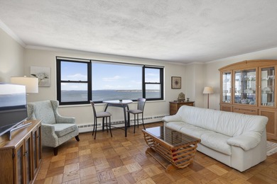 ''Million Dollar Views'' from this penthouse condominium at the