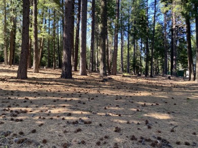 Lake Almanor Lot For Sale in Lake Almanor California
