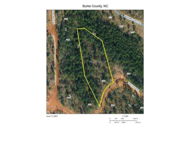Lake Acreage For Sale in Connelly Springs, North Carolina