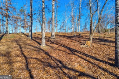 Lake Acreage For Sale in Martin, Georgia