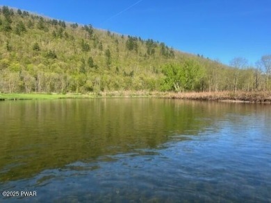 (private lake, pond, creek) Acreage For Sale in Hancock New York