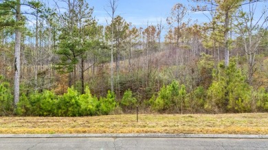 Lake Lot For Sale in Ocoee, Tennessee