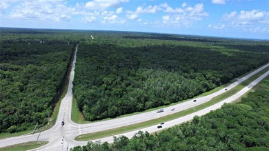 Prime Commercial Corner Lot - Exceptional Exposure in Edgewater! - photo 2