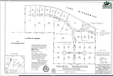 Lake Lot For Sale in Lake Minchumina, Alaska