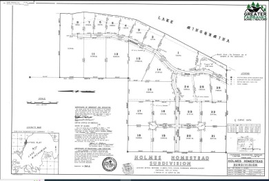 Lake Lot Off Market in Lake Minchumina, Alaska