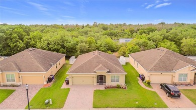 Discover the charm of 3447 Harlequin Drive, a beautifully - photo 42