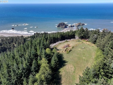 EXQUISITE PISTOL RIVER OCEAN VIEW ESTATE FOR THOSE WITH - photo 4