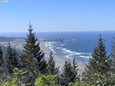 EXQUISITE PISTOL RIVER OCEAN VIEW ESTATE FOR THOSE WITH - photo 5