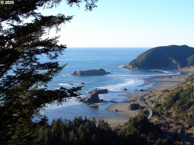 EXQUISITE PISTOL RIVER OCEAN VIEW ESTATE FOR THOSE WITH - photo 6