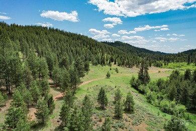 (private lake, pond, creek) Acreage For Sale in New Meadows Idaho