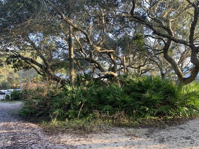 Excellent opportunity to own a lot south of 30A to build your - photo 14