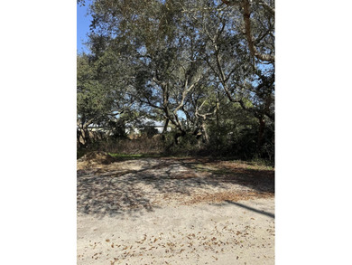 Excellent opportunity to own a lot south of 30A to build your - photo 15