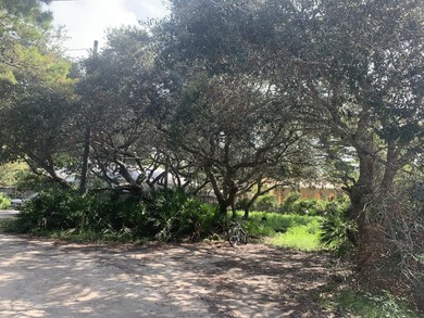Excellent opportunity to own a lot south of 30A to build your - photo 17