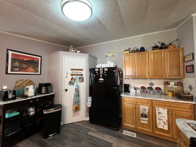 Stunning home located in Reflections on Silver Lake 55+ - photo 8