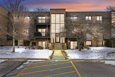 (private lake, pond, creek) Condo Active Under Contract in Wheaton Illinois