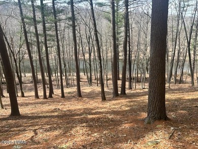 Lackawaxen River  Lot For Sale in Hawley Pennsylvania