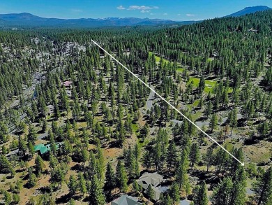 (private lake, pond, creek) Lot For Sale in Portola California