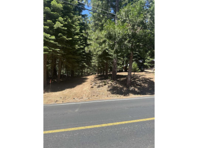 Lake Lot For Sale in Lake Almanor, California