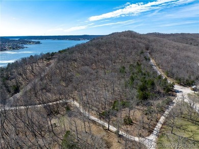 5.7 Acres that is wooded and a great parcel for your Lake View - photo 11