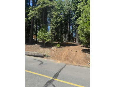 Lake Lot For Sale in Lake Almanor, California