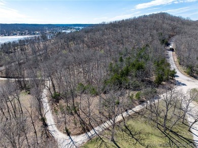 5.7 Acres that is wooded and a great parcel for your Lake View - photo 12