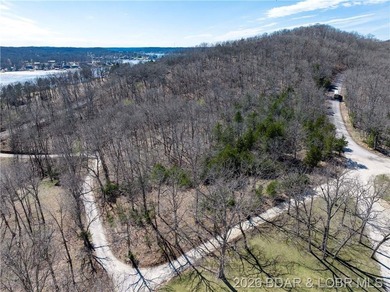 5.7 Acres that is wooded and a great parcel for your Lake View - photo 12