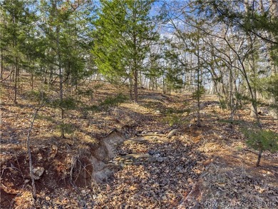 5.7 Acres that is wooded and a great parcel for your Lake View - photo 14