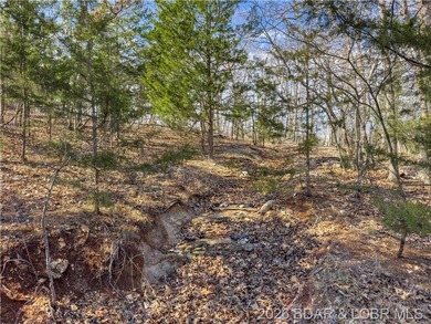5.7 Acres that is wooded and a great parcel for your Lake View - photo 14