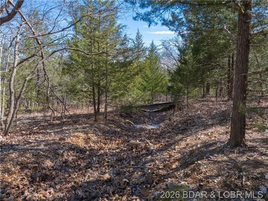 5.7 Acres that is wooded and a great parcel for your Lake View - photo 15
