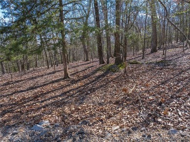 5.7 Acres that is wooded and a great parcel for your Lake View - photo 16