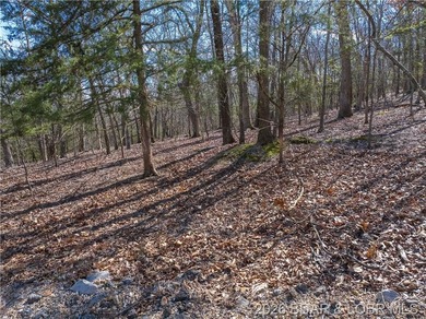 5.7 Acres that is wooded and a great parcel for your Lake View - photo 16