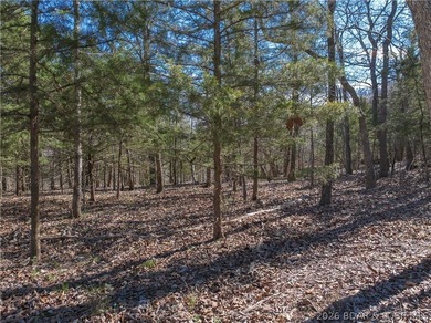 5.7 Acres that is wooded and a great parcel for your Lake View - photo 17