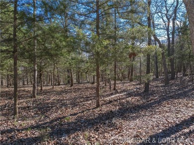 5.7 Acres that is wooded and a great parcel for your Lake View - photo 17