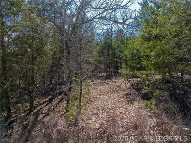 5.7 Acres that is wooded and a great parcel for your Lake View - photo 18