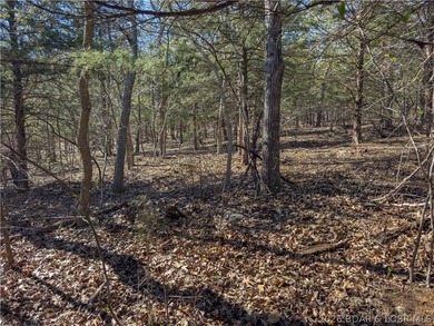 5.7 Acres that is wooded and a great parcel for your Lake View - photo 19