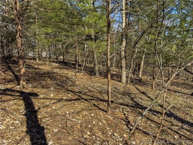 5.7 Acres that is wooded and a great parcel for your Lake View - photo 20