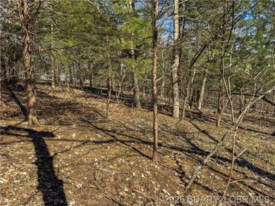 5.7 Acres that is wooded and a great parcel for your Lake View - photo 20