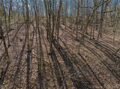 5.7 Acres that is wooded and a great parcel for your Lake View - photo 21
