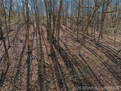 5.7 Acres that is wooded and a great parcel for your Lake View - photo 21