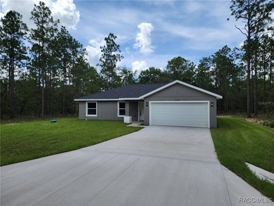 Bonable Lake Home For Sale in Dunnellon Florida