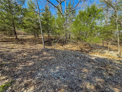 5.7 Acres that is wooded and a great parcel for your Lake View - photo 22