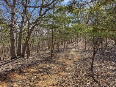 5.7 Acres that is wooded and a great parcel for your Lake View - photo 23
