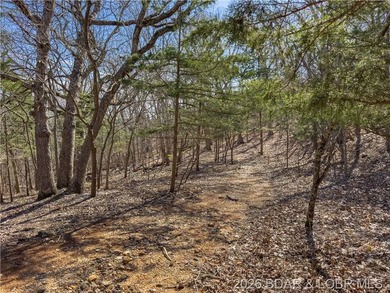 5.7 Acres that is wooded and a great parcel for your Lake View - photo 23