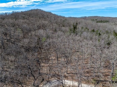 5.7 Acres that is wooded and a great parcel for your Lake View - photo 24